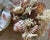 60-Piece Fine Seashell & Coral Collection For Sale - Image 18 of 18