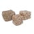 Coastal Bali Shell Box Medium For Sale - Image 4 of 7