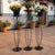 Architectural Stage for Nature & Light ️ Elevate your decor literally and figuratively with this Set of 3 Hand-Forged Iron...