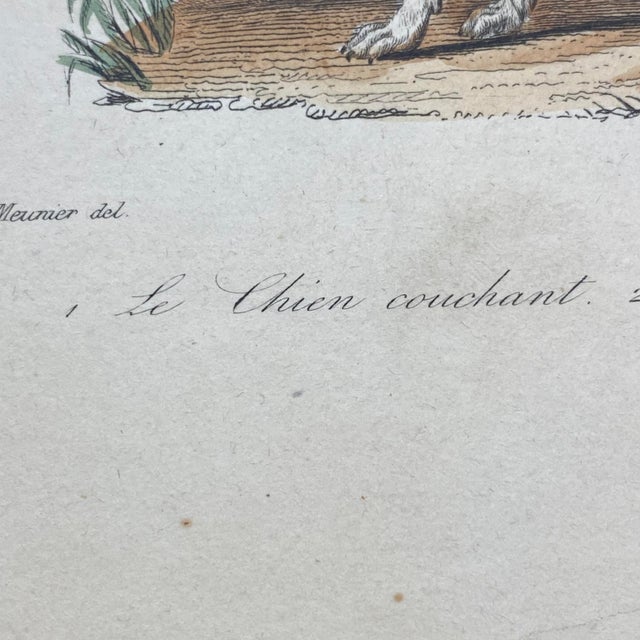 18th Century French Antique 18th Century "Le Chien Couchant" Dog Engraving Hand Colored Signed Artwork For Sale - Image 5 of 9