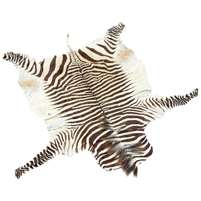 Animal Skin Vintage Zebra Hide Rug, 1950s For Sale - Image 7 of 8