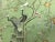 36" * H120"/Panel * 10ps, Emerald Green Chinoiserie Scenic Wallpaper - Set of 10 For Sale - Image 10 of 13