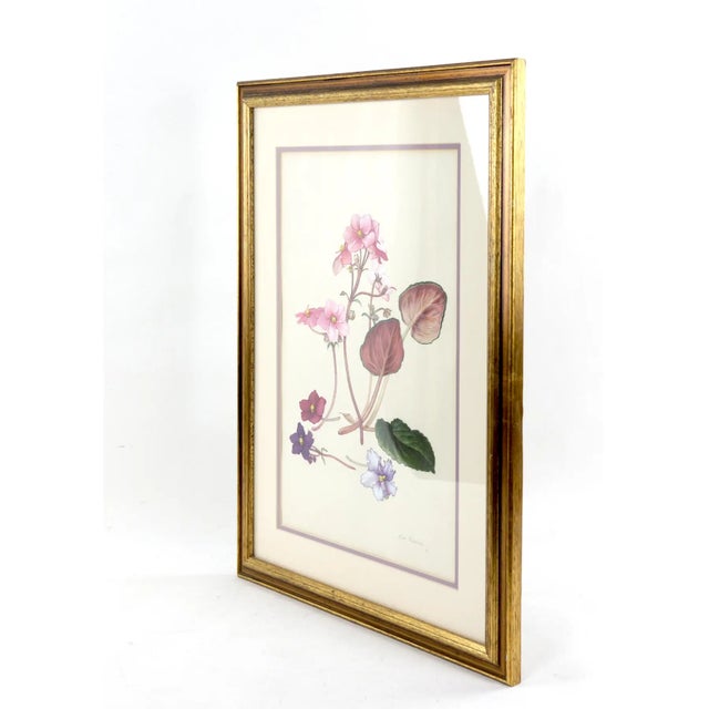Hand-painted Watercolor Specimen Flower Painting, Signed，Framed Hand-painted Watercolor - Ready to Hang,Specimen...