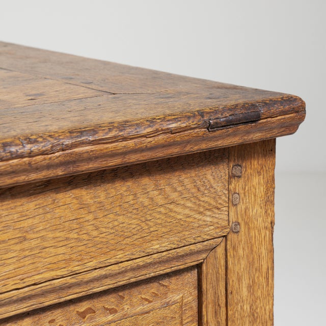 French Carved Oak Trunk France 19th Century For Sale - Image 4 of 12