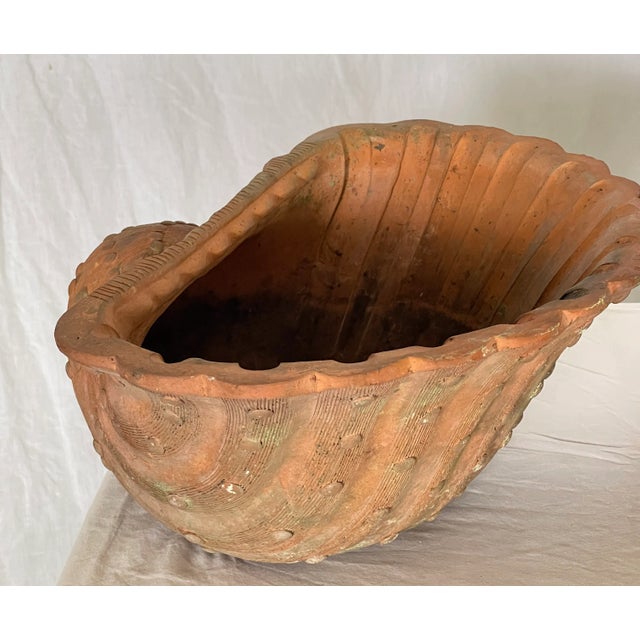 1940s French Antique Set of Three Terracotta Large Shell Planters, 1940s For Sale - Image 5 of 18
