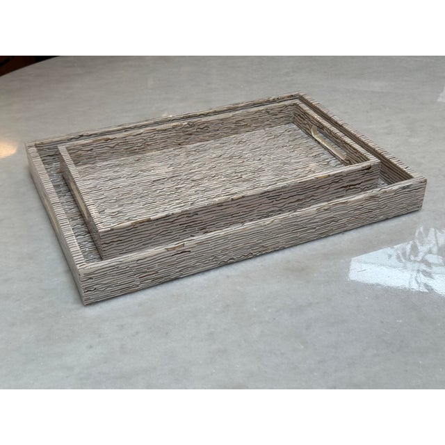 Plastic Made Goods Averelia Trays, Set of Two For Sale - Image 7 of 12
