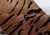 Modern Tibetan “Tiger” Wool Rug by Doris Leslie Blau For Sale - Image 4 of 6