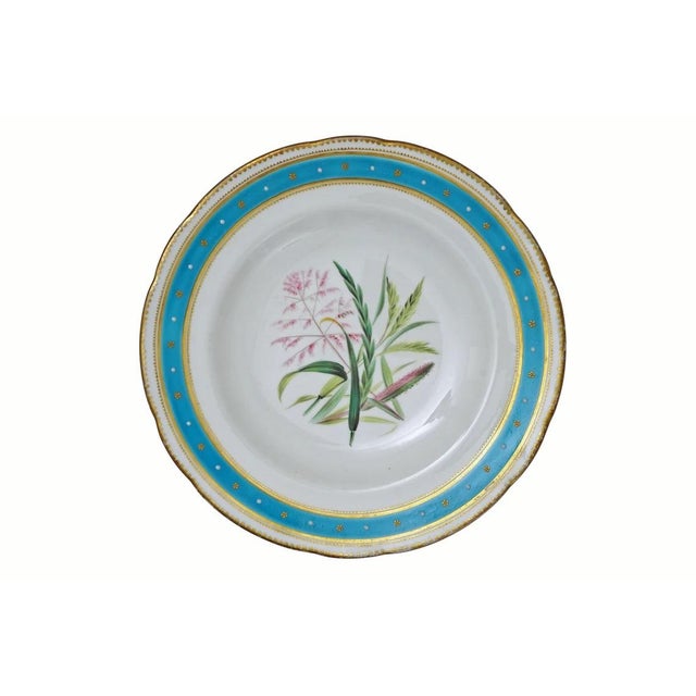 19th Century Minton Botanical Plates Jeweled Porcelain Turquoise Enamel - Set of 4 For Sale In Philadelphia - Image 6 of 9