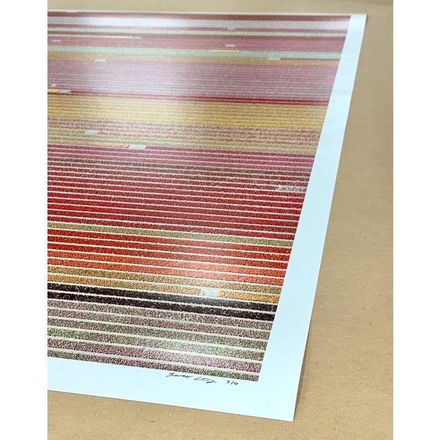 AV_Tulip_Fileds_006" Size a Contemporary Limited Edition Fine Art Print by Bernhard Lang For Sale - Image 10 of 12