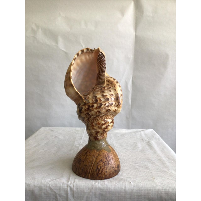 Asian 1940s Triton Conch Shell Lamp On Coconut Base For Sale - Image 3 of 10