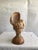 Asian 1940s Triton Conch Shell Lamp On Coconut Base For Sale - Image 3 of 10