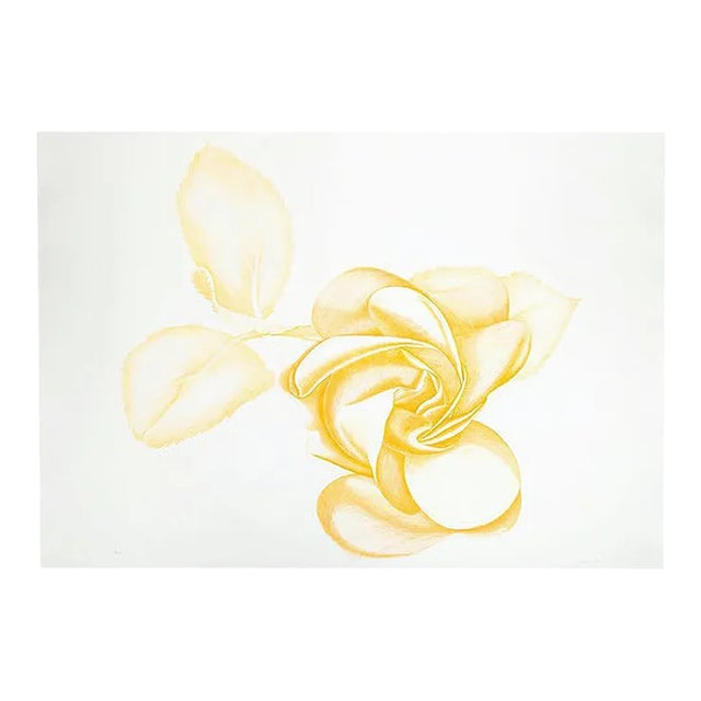 Yellow Rose - Original Etching by Giacomo Porzano - 1972 1972 For Sale