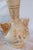 Early 19th Century Antique Royal Worcester Porcelain Vase For Sale - Image 5 of 8