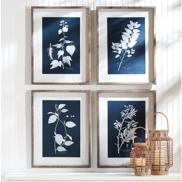 THE CYANO BOTANICAL LEAF STUDY - SET OF 4 20.75 x .75 x 27.5 Each In a play on positive and negative space, these cyan...