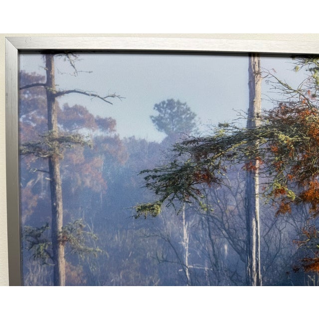 21st-Century, Untitled, Color Photograph of Coastal Wetland Framed, Artist Will Dickey For Sale In Jacksonville, FL - Image 6 of 8