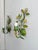 Pair of French tole-painted wall sconces dating to the 1970s. Each sconce features hand-formed green foliage with white...