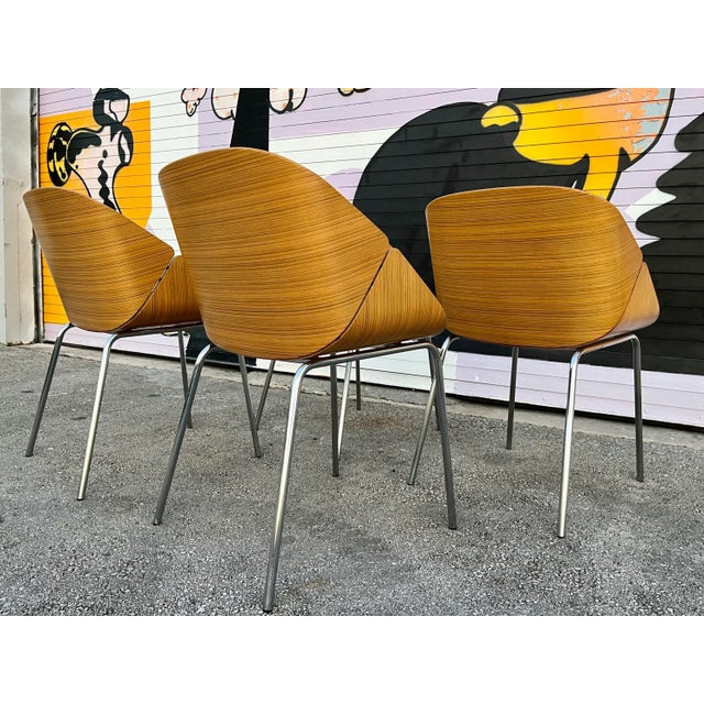 Set of Four Early 21st Century Babà Lounge/ Dining Chairs by Plank Furniture Italy. For Sale In Miami - Image 6 of 12