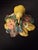 Antique Hubley Cast Iron Pear Floral Door Knocker Original Polychrome Paint C1920 For Sale - Image 10 of 14