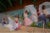 Digital photograph , ed. 2 of 9 hp premium satin photo paper with archival inks born in japan in 1940 and educated at the...
