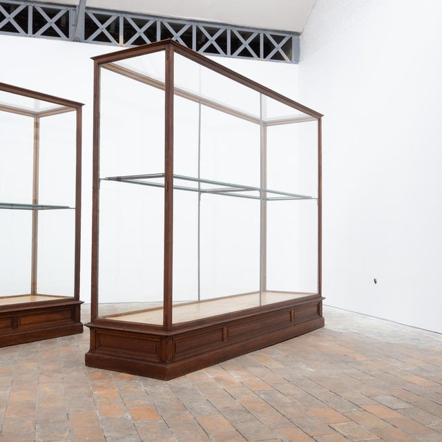 Antique Oak Museum Display Cases, 1910 For Sale - Image 3 of 18