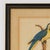 Lofty 19th Century watercolor on paper of an exotic parrot executed in a naturalist style, signed E A Roper, dated 1833 to...
