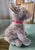 Steiff Fabulous Plush Mohair Gray Schnauzer Terrier Dog delightful stuffed animal toy early 1960s original estate owner...