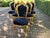 1980 Italian Baroque Gold Beech Black Velvet Dining Set - 7 PCS For Sale - Image 6 of 17