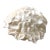 Large Natural Ruffled Foliose Coral Skeleton Specimen 12" Coastal Decor For Sale