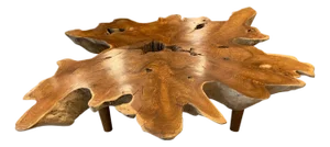Andrianna Shamaris Teak Wood Organic Root Coffee Table