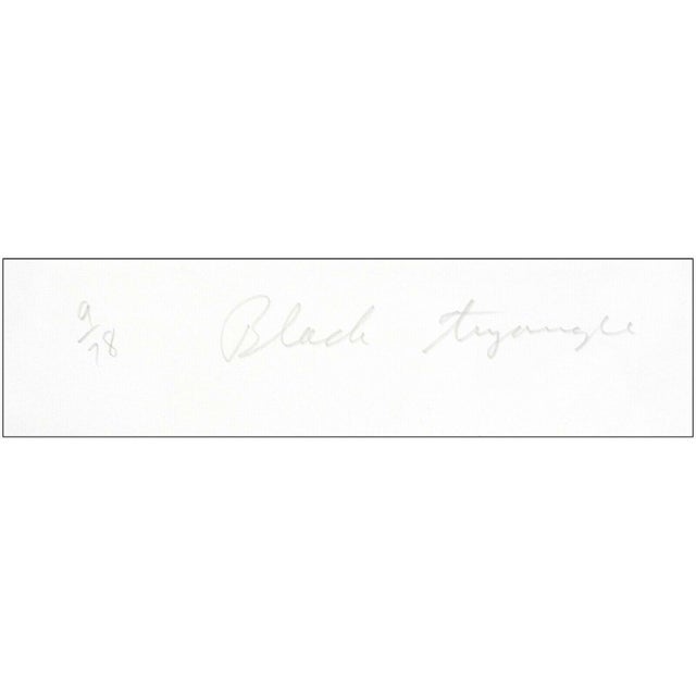 James Rosenquist 1970s Black Triangle in Color, James Rosenquist For Sale - Image 4 of 6