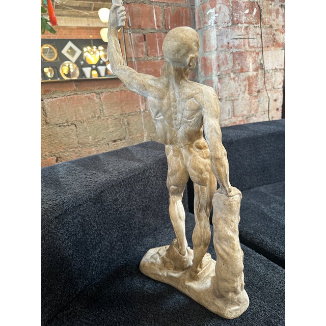 Anatomical Skeletal Cast, Italy 80s For Sale - Image 10 of 12