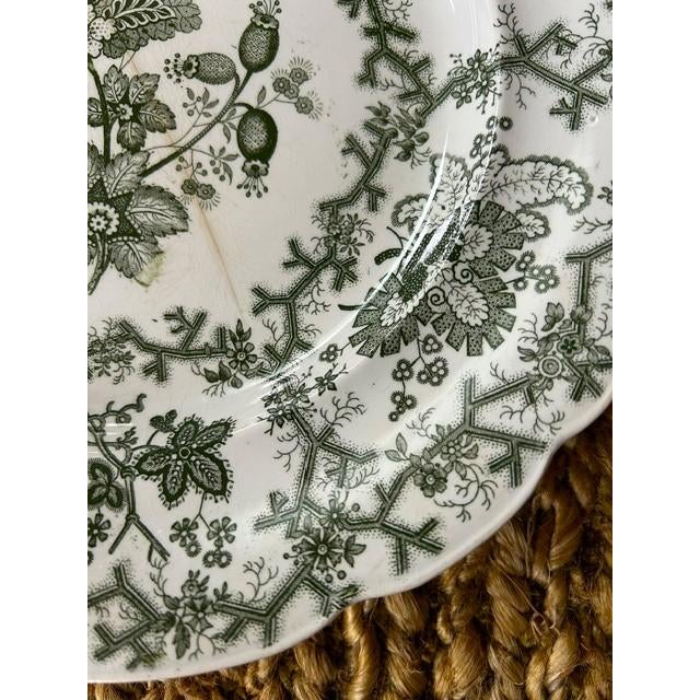 English Antique Wedgewood 'Coral Border' Green Transferware 10" Dinner Plates - Set of 12 For Sale - Image 3 of 14