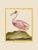 Shore Bird Grouping by Martinet Blue and Pink Giclee Reproductions For Sale In Atlanta - Image 6 of 11