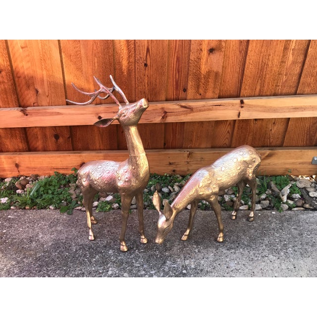 Large Mid Century Brass Deer Floor Statues a Pair Chairish