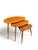 Nesting Tables by Lucian Ercolani for Ercol, 1960s, Set of 3 For Sale - Image 13 of 13