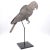 A tole folk art parrot on later stand, possibly French or French colonial, circa 1900.