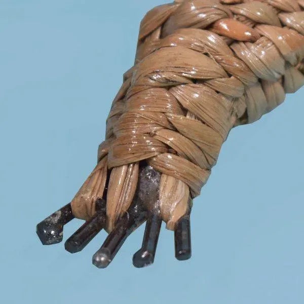 2020s Small Alligator by Mario Lopez Torres For Sale - Image 5 of 8