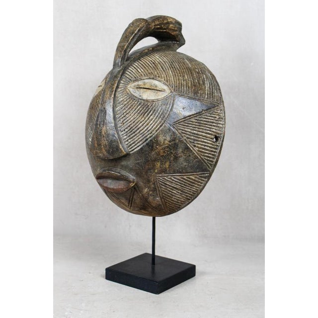 Songye Mask in Wood For Sale - Image 3 of 5