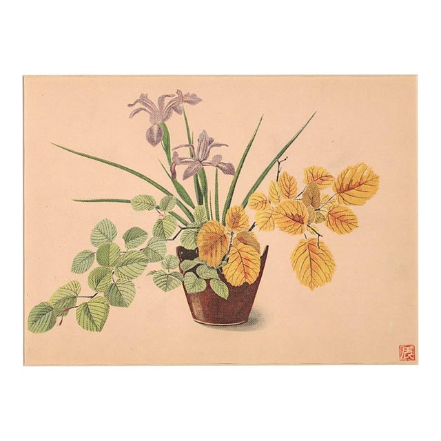 1956 Original Botanical Lithograph-Flower Arrangment Design, Matted For Sale