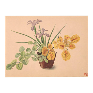 1956 Original Botanical Lithograph-Flower Arrangment Design, Matted