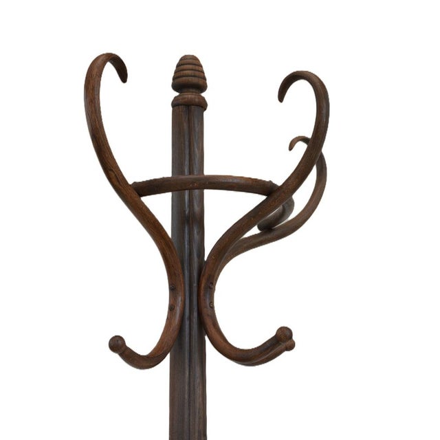 1900 - 1909 Antique Half Round Bentwood Coat Stand, 1900 For Sale - Image 5 of 13