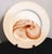 Late 20th Century 4 Fitz and Floyd Coquille Dinner Plates, Peach Seashell Pattern For Sale - Image 5 of 7
