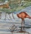 Antique Framed Watercolor Coastal Landscape With Pink Flamingos For Sale In Philadelphia - Image 6 of 8