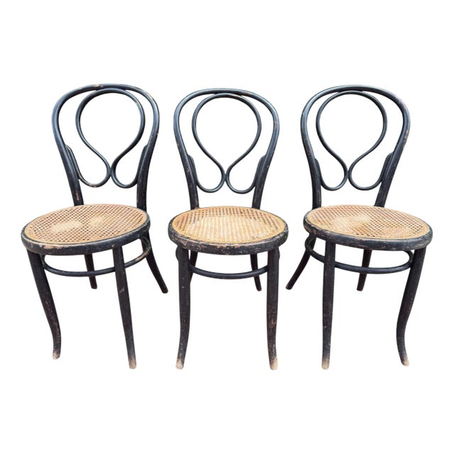 N14 Fischel 19s Thonet Style Bistro Chairs, 1860, Set of 3 For Sale