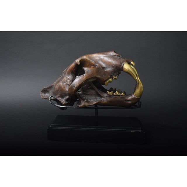 Metal Big Cat Skull Sculpture on Black Display Stand, 1990s For Sale - Image 7 of 10