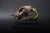 Metal Big Cat Skull Sculpture on Black Display Stand, 1990s For Sale - Image 7 of 10