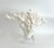 Extraordinary Natural Branch Coral on Acrylic Base For Sale - Image 9 of 9
