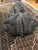 Wood Large Vintage Bamileke West African Carved Mask For Sale - Image 7 of 10