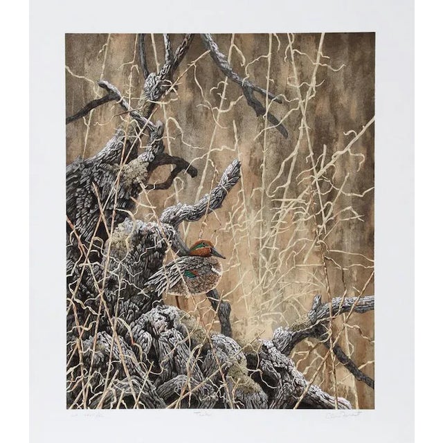 Chris Forrest, "Green Winged Teal," Lithograph For Sale