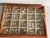 1960s Vintage Florida Sea Shell Collection Marine Specimens For Sale - Image 5 of 7